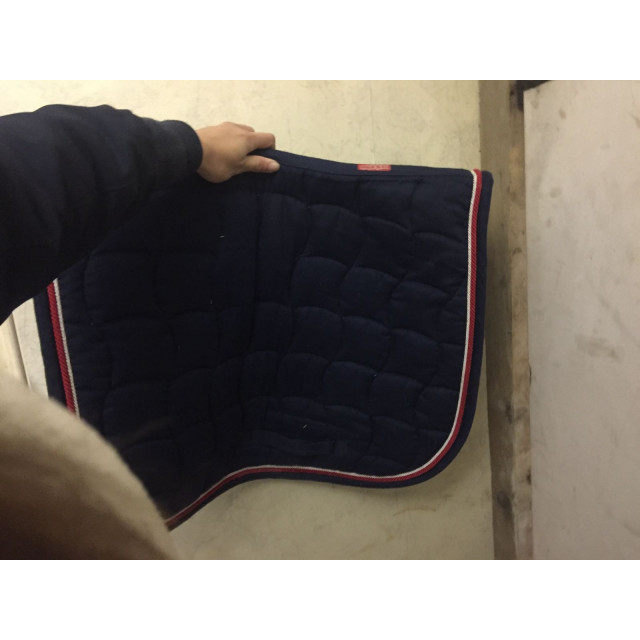 tapis
