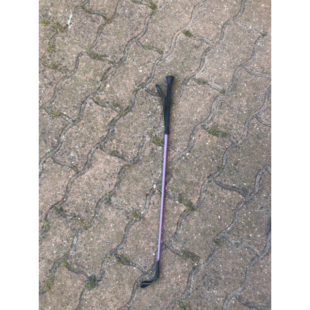 cravache violette