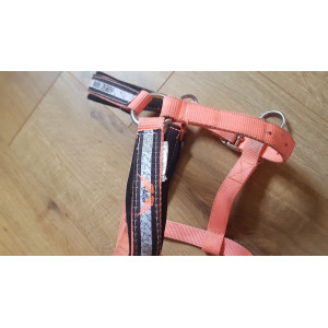 Ensemble Tapis/Licol