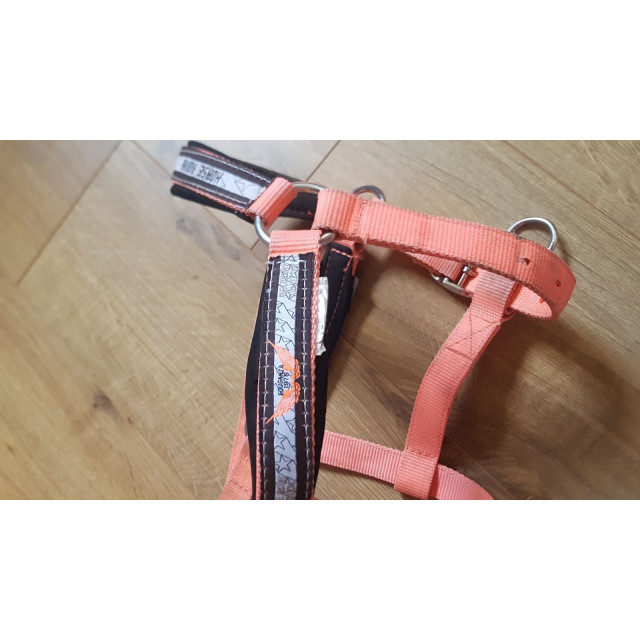 Ensemble Tapis/Licol