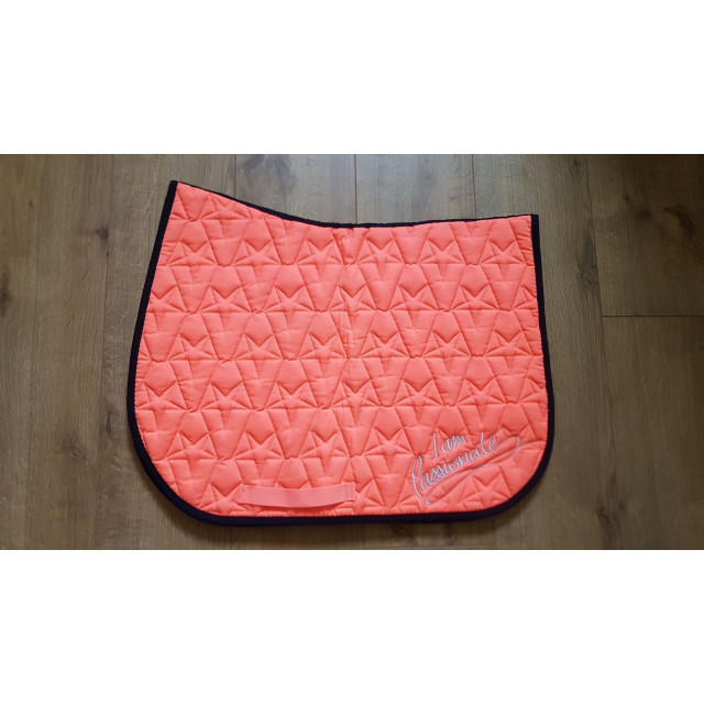 Ensemble Tapis/Licol