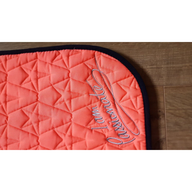 Ensemble Tapis/Licol