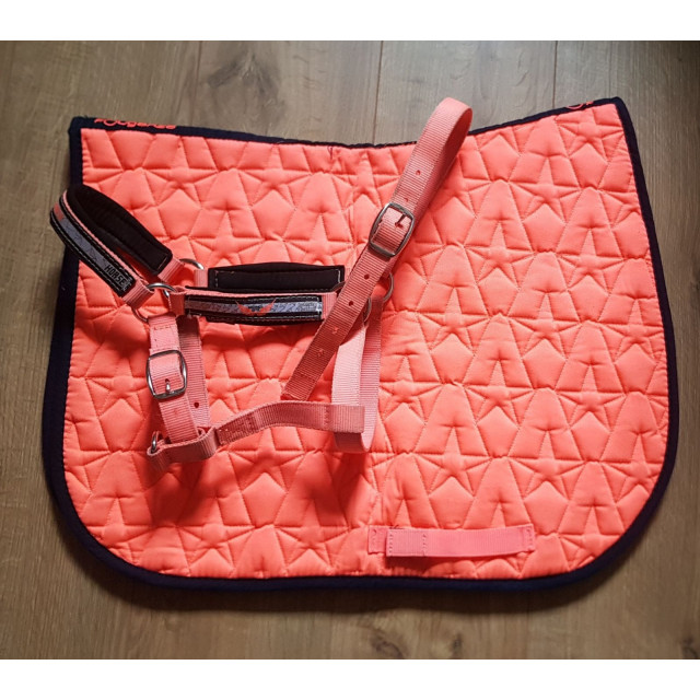 Ensemble Tapis/Licol