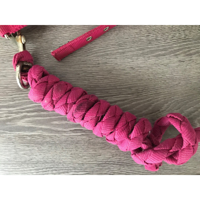 Licol Fouganza rose + longe assorti