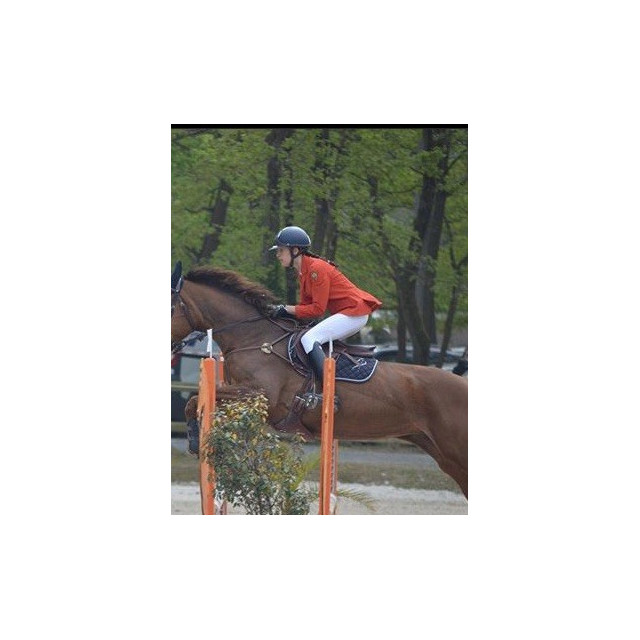 Veste VIctory Horse orange