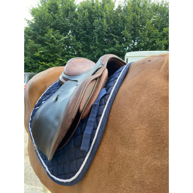 Selle ANTARES modèle Altair