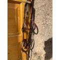 Bridon muserolle combinée comfort hfi