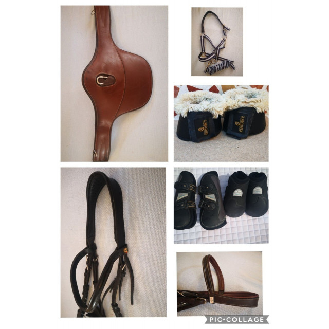 Bridon cuir