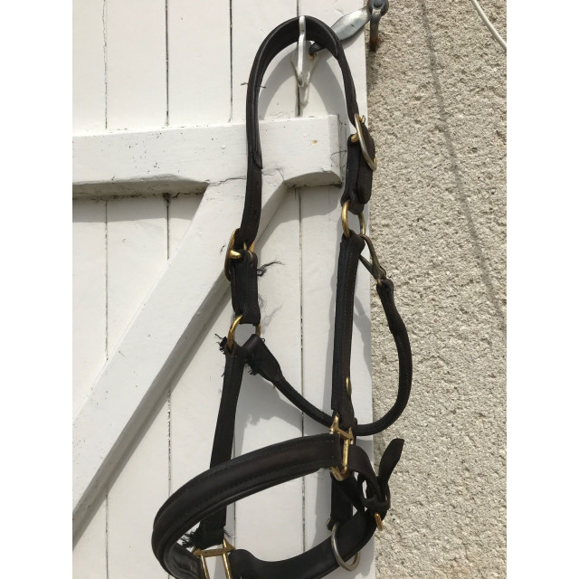 Licol en cuir cheval Eric Thomas