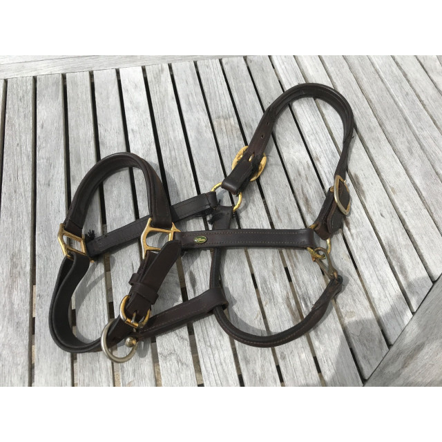 Licol en cuir cheval Eric Thomas