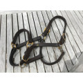 Licol en cuir cheval Eric Thomas