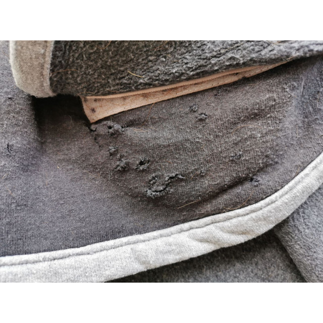 Couvre-reins Piaffe
