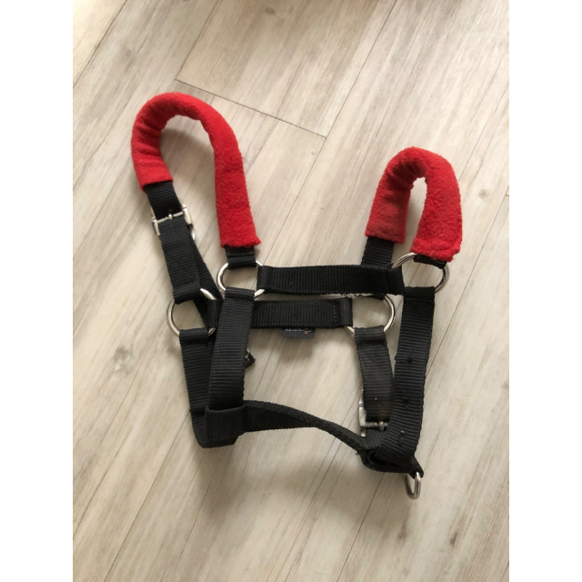 Licol shetland noir avec fourreaux de muserolle et de têtière rouges