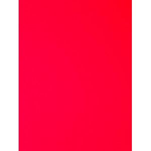 Licol Décathlon Bleu Taille 2