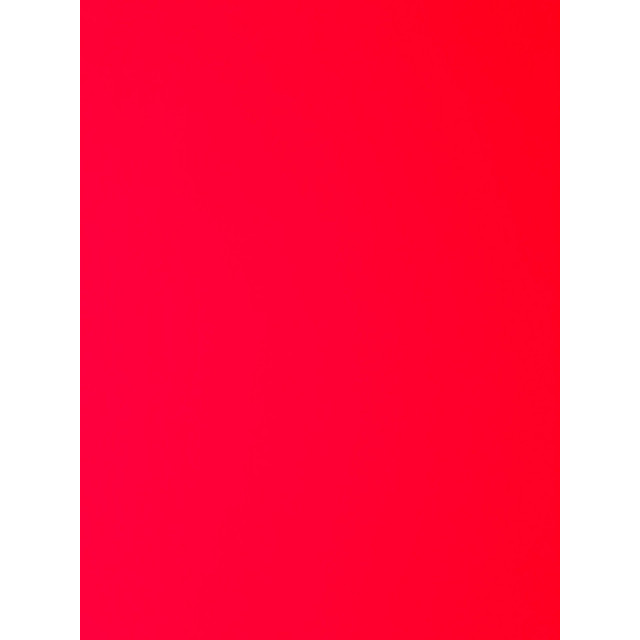 Licol Décathlon Bleu Taille 2