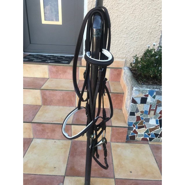 Bridons en cuir marron