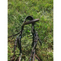 Bridon muserolle croisée Protanner Alba taille cob marron