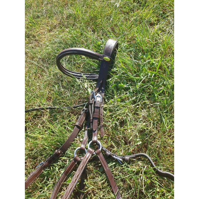 Bridon muserolle croisée Protanner Alba taille cob marron
