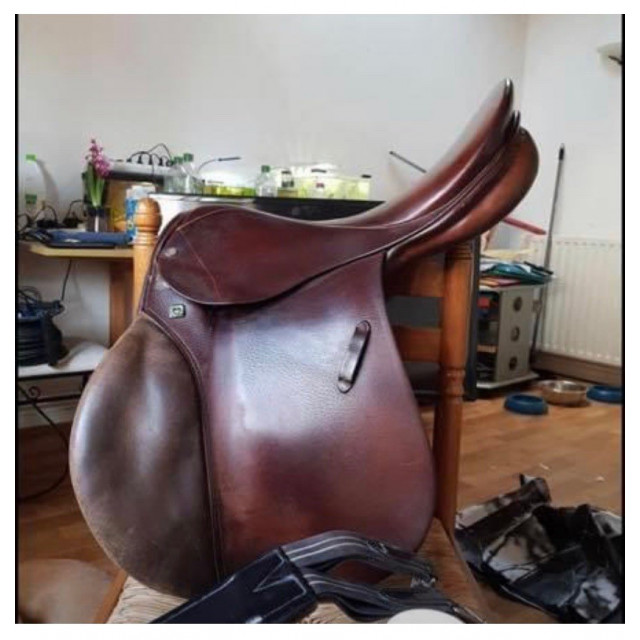 Selle stubben