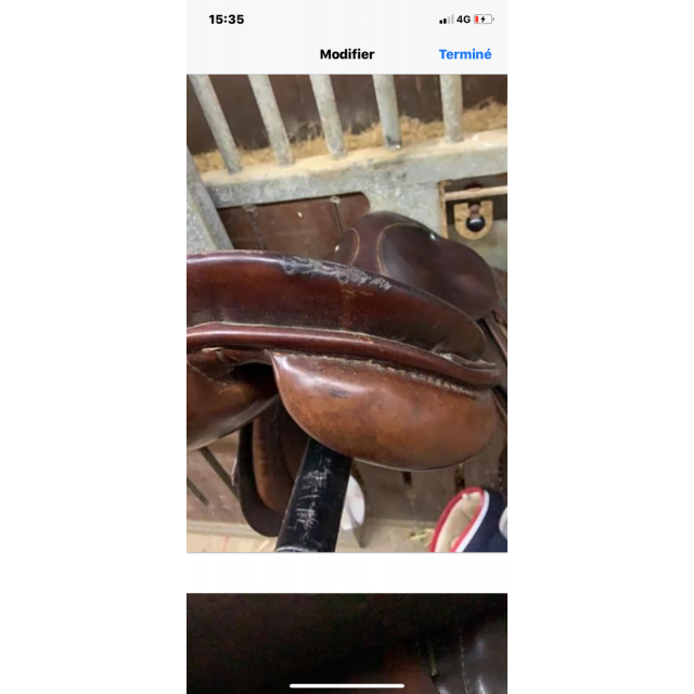 Selle stubben