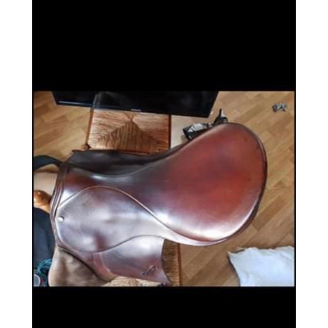 Selle stubben