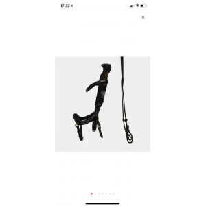 Bridon jump’in avec rênes