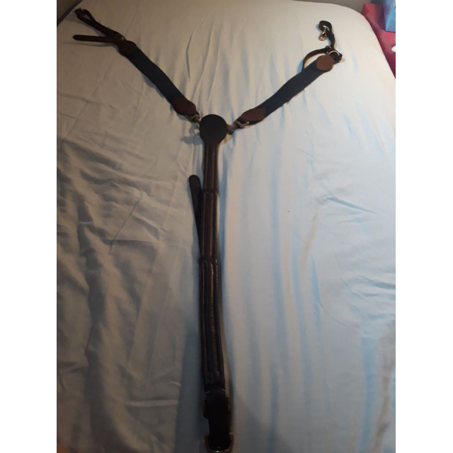 Collier de chasse Eric Thomas