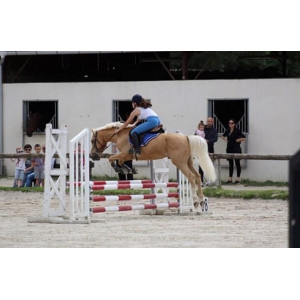 Pantalon bleu belstar