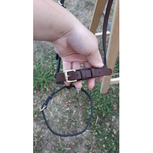 Muserolle eric Thomas