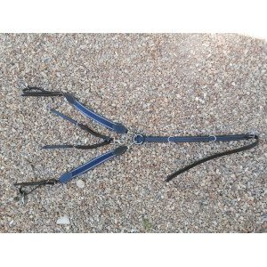 Collier de chasse avec martingale