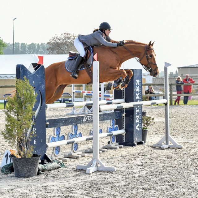 Amortisseur à memoire de forme Ogilvy