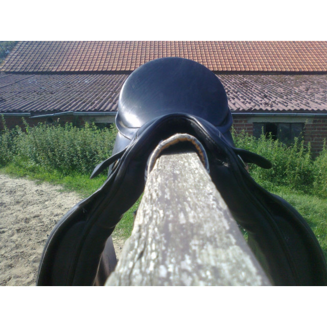 Passier Hanover 17,5