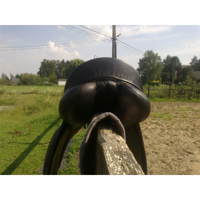 Passier Hanover 17,5