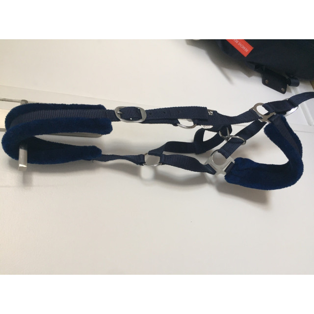 Licol bleu marine