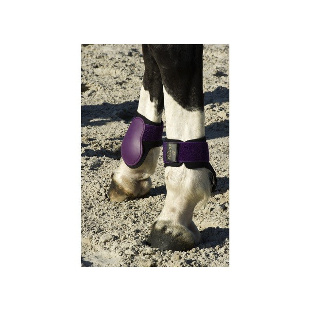 Protège boulet taille poney violet