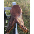 Selle Terry’s