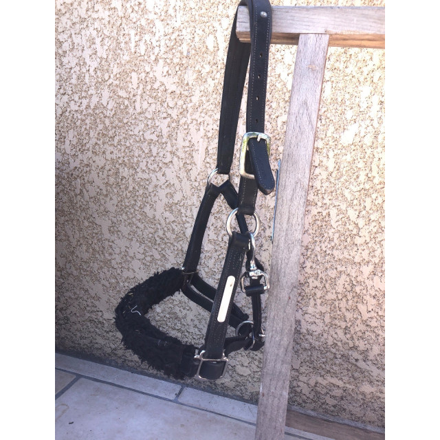 Licol cuir + moumoute