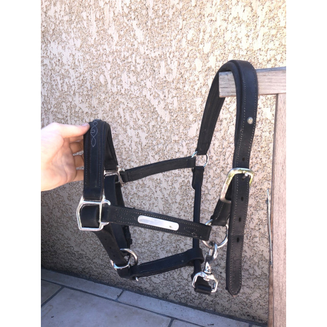 Licol cuir + moumoute