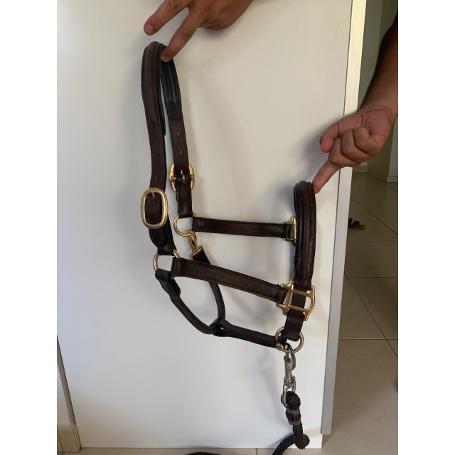 Licol en cuir