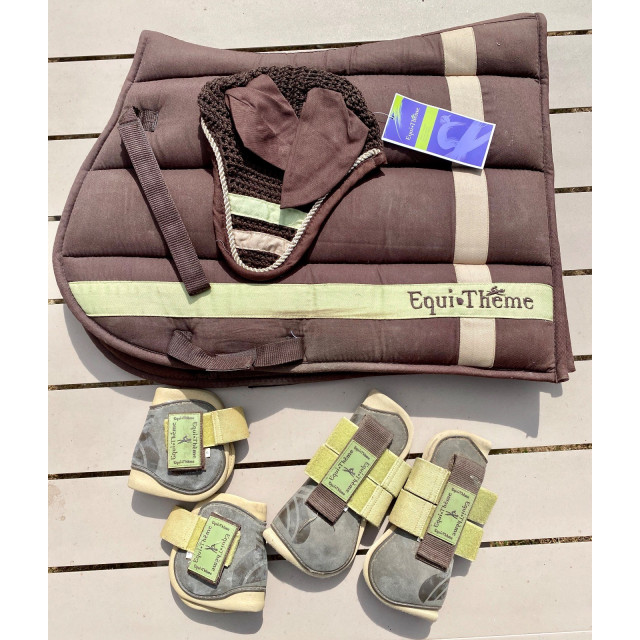 Ensemble Equitheme