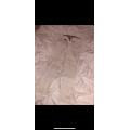 Pantalon horze concours