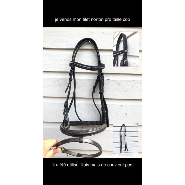 filet norton pro taille cob