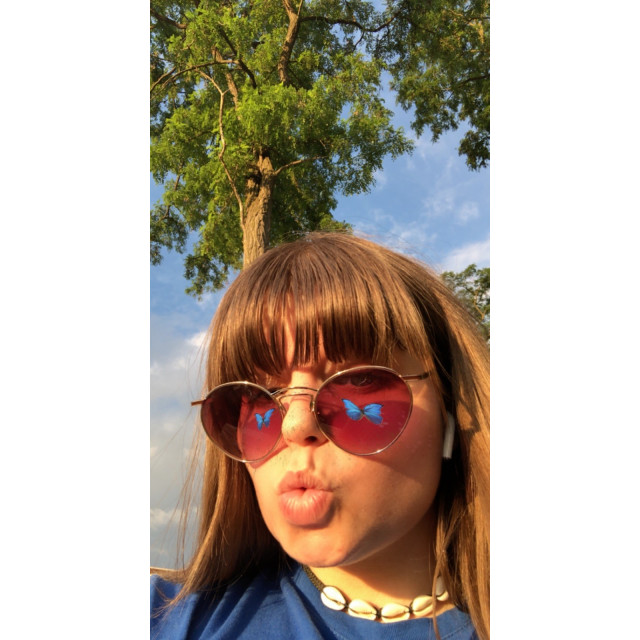 filet norton pro taille cob