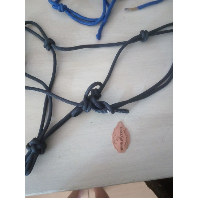 Licols éthologiques