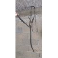 collier de chasse