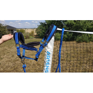 Licol bleu avec moumoute