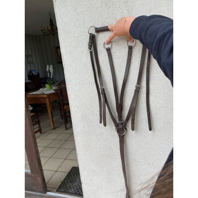 Colier de chasse + martingale