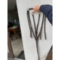 Colier de chasse + martingale
