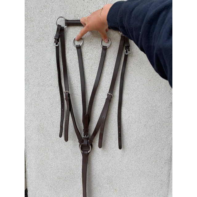 Colier de chasse + martingale