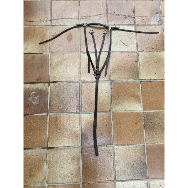 Colier de chasse + martingale